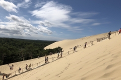 2018-08-31 124128 - IMG_5814