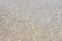 2018-08-30 151147 - DSCN2862