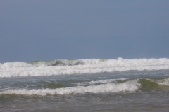 2018-08-30 152001 - DSCN2869